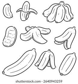 vector set of banana cartoon