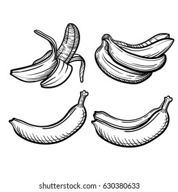 Vector set with banana. Tropical icons with fresh banana.