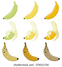 Vector set bananas. Overripe and peeled fruit.