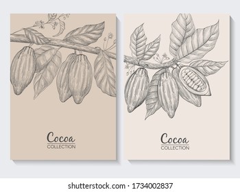 Vector set of banners made of cocoa beans. Hand drawn illustration on the beige background. Cocoa brunch. 