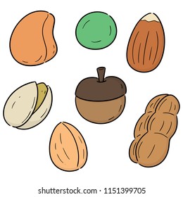 vector set of beans