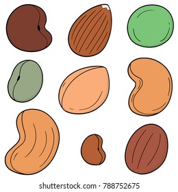 vector set of beans