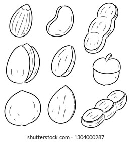 vector set of beans and nuts