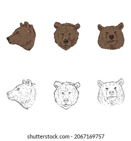 Vector Set of Bear Head. Sketch and Cartoon Illustrations