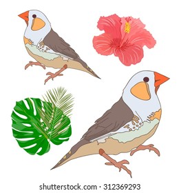 Vector set with with beautiful birds, exotic flowers and leaves