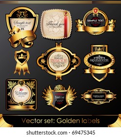 Vector set of beautiful black gold-framed labels