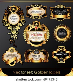 Vector set of beautiful black gold-framed labels