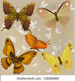 Vector set of beautiful butterflies
