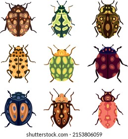 Vector set of beautiful colorful beetles with spots