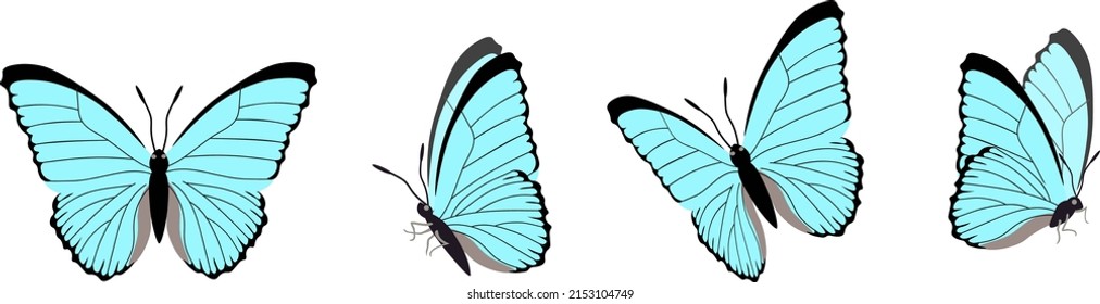 Vector set of beautiful colorful butterflies on a white background