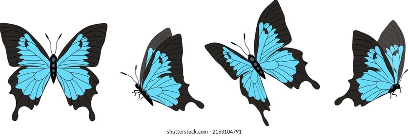 Conjunto vectorial de hermosas mariposas coloridas sobre un fondo blanco
