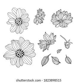 Vector set of beautiful colors in graphic style