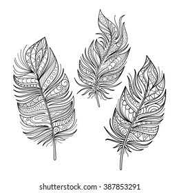 Conjunto vectorial de bellas plumas de decoro. Objetos Monocromos Aislados En Fondo Blanco. Elementos de elegancia étnica
