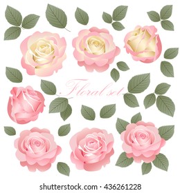 Vector set of beautiful and delicate vintage roses. The elements can be used as a wedding invitation card, greeting card for a birthday or other holidays.