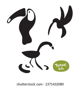 Vector set beautiful exotic birds of the Amazon rain forest. Toucan, hummingbird and flamingo doodle isolated silhouettes on white background