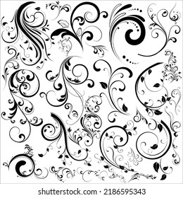 Vector Set Of Beautiful Floral Design Elements Silhouettes Illustration Isolated On White Background