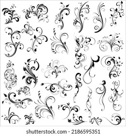 Vector Set Of Beautiful Floral Design Elements Silhouettes Illustration Isolated On White Background