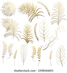 Vector set of beautiful golden tropical plants. Varieties of shiny leaves and branches isolated on white background. Decoration elements for invitation,wedding cards, prints and other design
