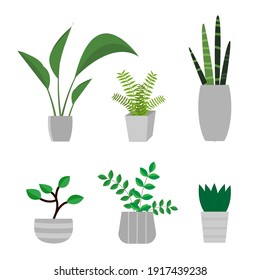 Vector Set of Beautiful Green Plants in A Flowerpot for Garden Decoration.