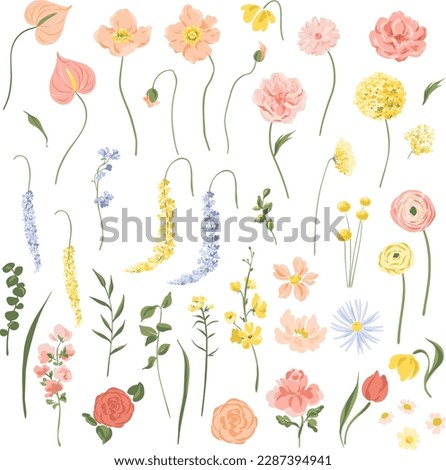 Vector Set of Beautiful Individual Flowers Illustrations Isolated on White Background