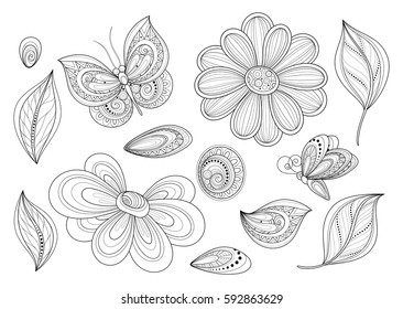 Vector Set of Beautiful Monochrome Floral Design Elements with Insects, Objects Isolated. Flowers, Leaves, Butterfly, Dragonfly, Beetle, Bug etc.