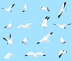 Vector Set Of Beautiful Seagulls In A Flat Style Isolated On White Background. Sea Gull, A Beautiful Bird. Cute Bird In Cartoon Style.