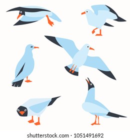 Vector set of beautiful seagulls in a flat style isolated on white background. Sea Gull, a beautiful bird. Cute bird in cartoon style. Cartoon atlantic seabird.