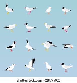 Vector set of beautiful seagulls in a flat style isolated on white background. Sea Gull, a beautiful bird. Cute bird in cartoon style.