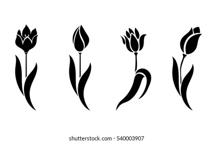 Vector set of beautiful silhouettes flowers tulips. Illustration isolated on white background.
