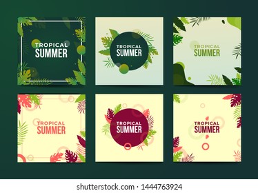 Vector set of Beautiful summer posters and banners with foliage