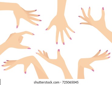 Vector set of beautiful woman hands isolated on white