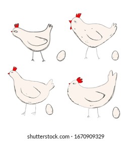 vector set of beauty chicken's and eggs