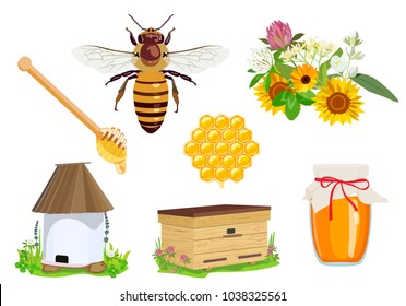Vector set of beekeeping elements: honey, bee, flowers, apiary, beehive, wax, honeycomb, jar of honey isolated on white background. Unconventional organic medicine