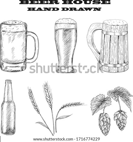 Vector set of beer glasses, mugs, bottle, hop, malt hand drawn style