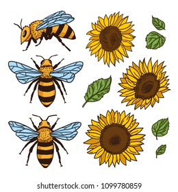 Vector set with bees and sunflowers. Hand drawn illustration
