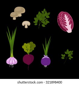 Vector set with beets, cauliflower, parsley, mushrooms, onion and garlic