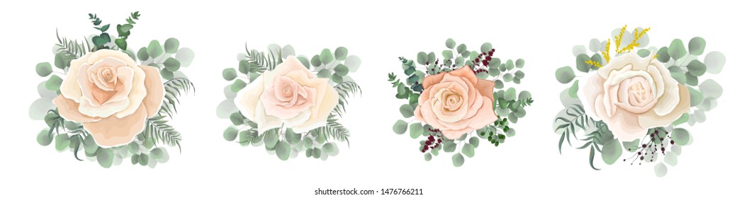 Vector set of beige roses, eucalyptus, berries of green leaves and plants. Flowers on a white background.