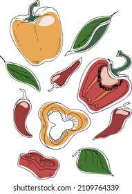 Vector set of bell peppers and chili peppers with leaves isolated on white background