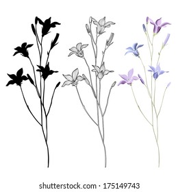 Vector set of bellflower on a white background 