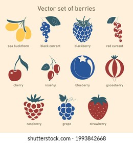 Vector set of berries. Collection of icons  sea buckthorn, black currant, blackberry, red currant, cherry, rosehip, blueberry, gooseberry, raspberry, grape, strawberry.