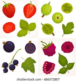 Vector set of berries. Collection of raspberries, strawberries, gooseberries and black currants. A detailed image of the fruit in different angles.