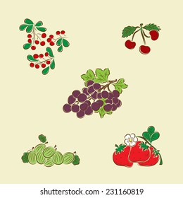 Vector set of berries: cranberries, cherries, grapes, gooseberries, strawberries