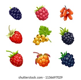 vector set of berries, fruit, ripe fruit, mulberry, BlackBerry, raspberry, unabi, strawberry, currant, cloudberry, fresh fruit, on white background,