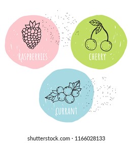 Vector set of berries with names. The cartoon style.