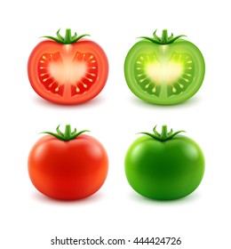 Vector Set of Big Ripe Red Green Fresh Cut Whole Tomatoes Close up Isolated on White Background