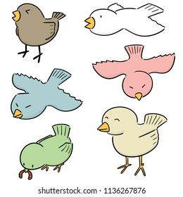 vector set of bird