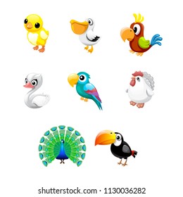 vector set of bird cartoon peacock parrot chicken