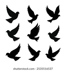 vector set bird silhouette design