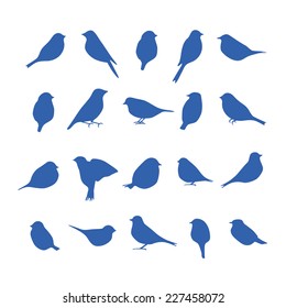 vector set of bird silhouettes.