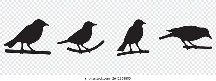Vector set of bird silhouettes. Birds silhouette different vector illustrations.
